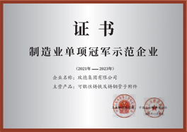 National Manufacturing Single Champion Demonstration Enterprise